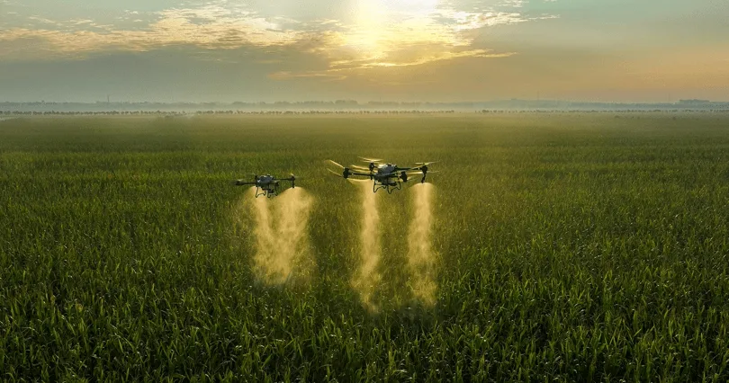 DJI Agras T50 ve T25: Hava Tarımı Koruma Kapasitesini Genişletiyor
