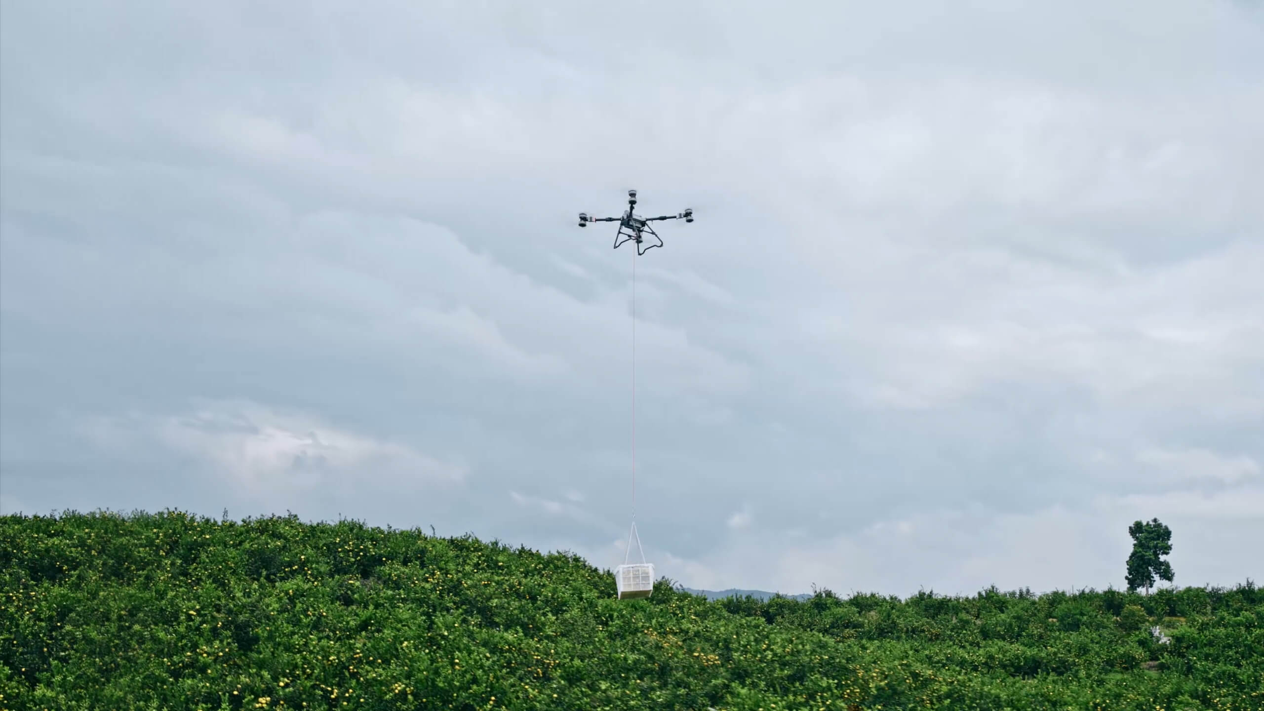 DJI Agras T100